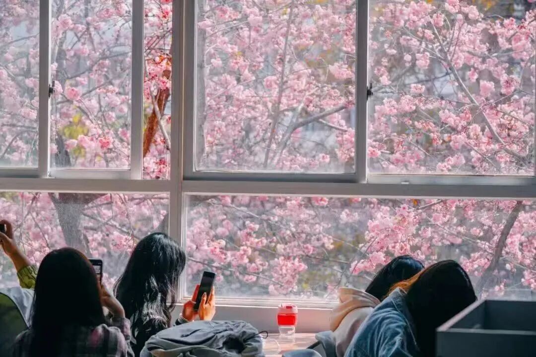 排名揭晓！今年会官方网站全国10强‼️ 第 15 张
